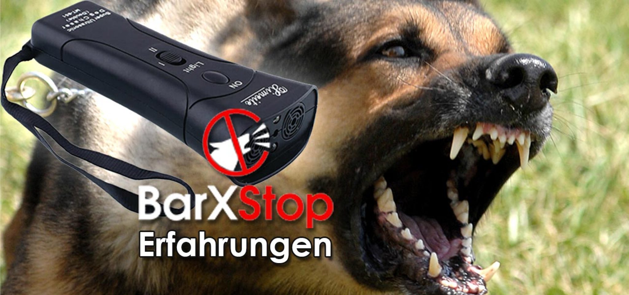 BarxStop Mit diesem Gerät hört Ihr Hund sofort zu bellen auf.