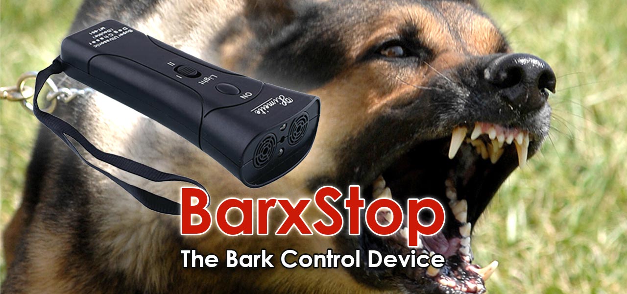 BarXStop Review 2022: The Bark Control Device | Digitogy.eu