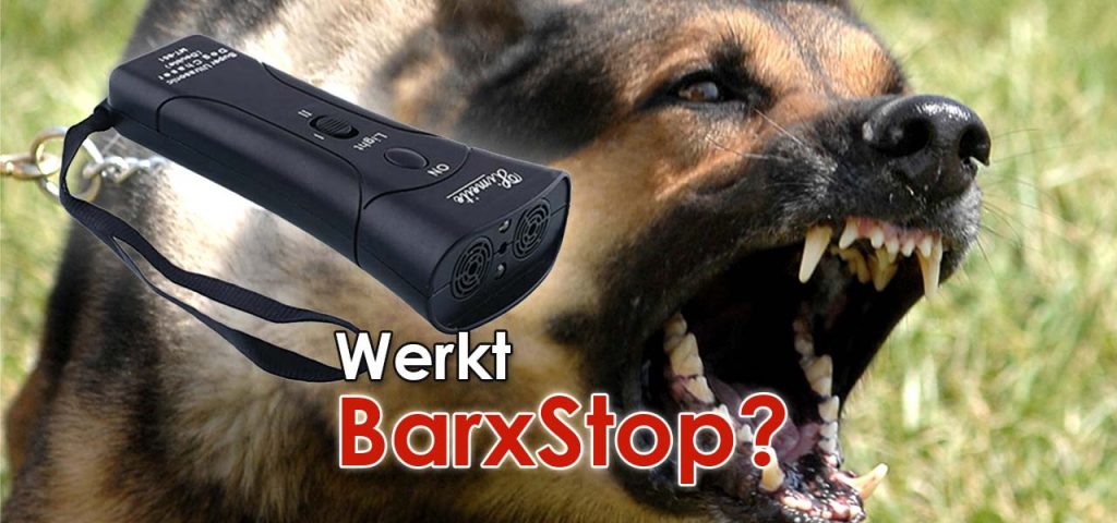 Kansen deelnemer zebra Barxstop 2023, geen last van blaffende honden | Digitogy