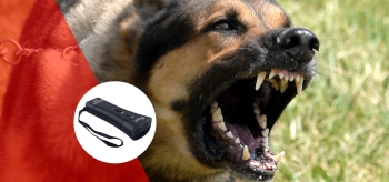 Barxstop Dispositivo antiabbaio a Ultrasuoni  Funziona Davvero? – Recensione e prezzo scontato