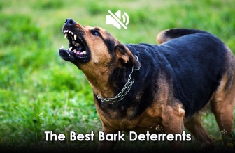 Best Anti Bark Devices 2023: Two of Finest Bark Deterrent on the Market Compared