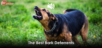 Best Anti Bark Devices 2024: Two of Finest Bark Deterrent on the Market Compared
