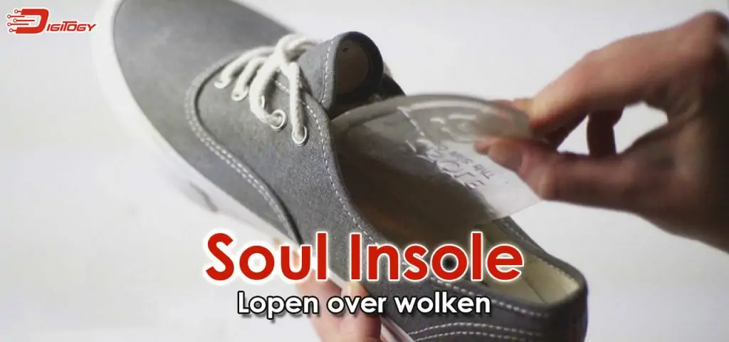 soule insole